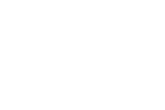 Vertpro Logo
